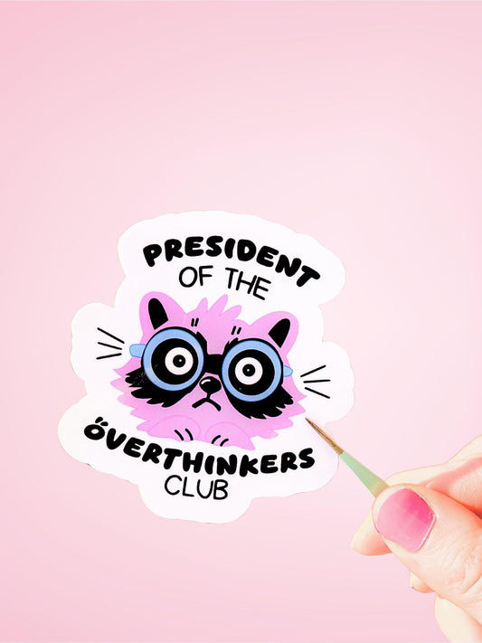 Funny Raccoon Overthinker Sticker, Neurodivergent Gift, Waterproof Laptop Vinyl Sticker , Anxious