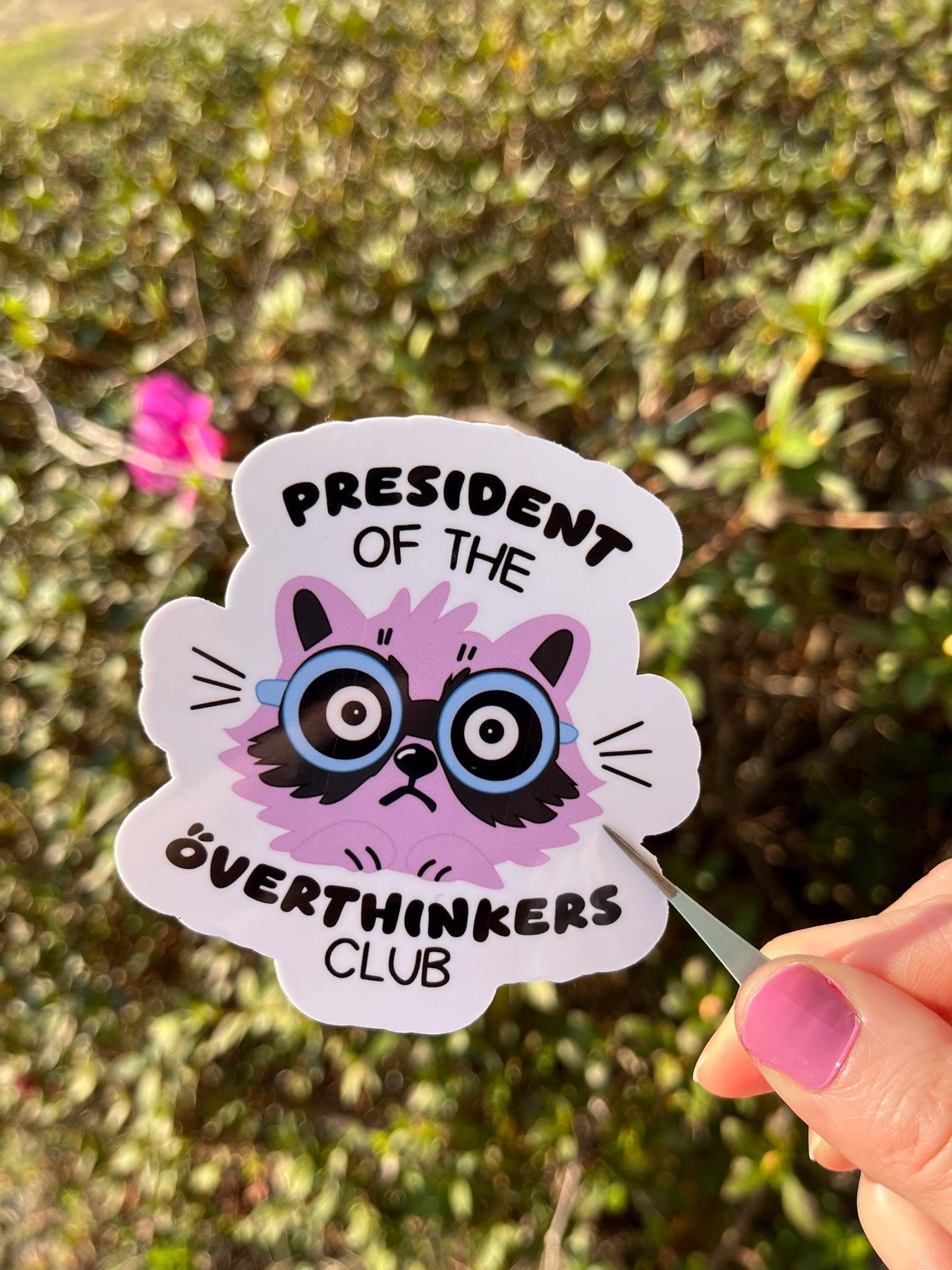 Funny Raccoon Overthinker Sticker, Neurodivergent Gift, Waterproof Laptop Vinyl Sticker , Anxious
